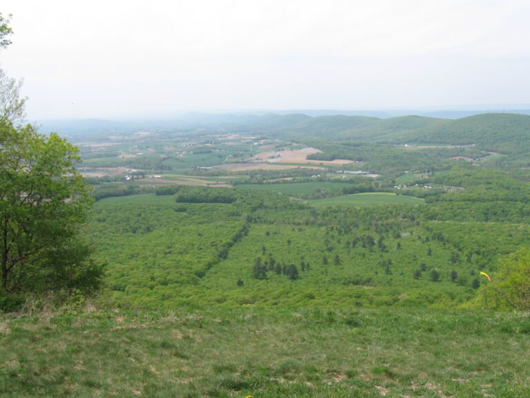 Weiser State Forest - Haldeman Tract