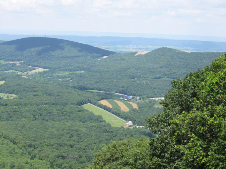 Weiser State Forest - Haldeman Tract