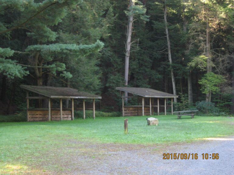 Spring Creek Horse Trail - Allegheny Nat'l Forest