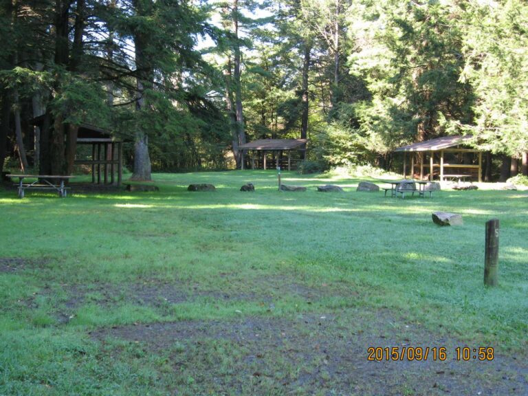 Spring Creek Horse Trail - Allegheny Nat'l Forest