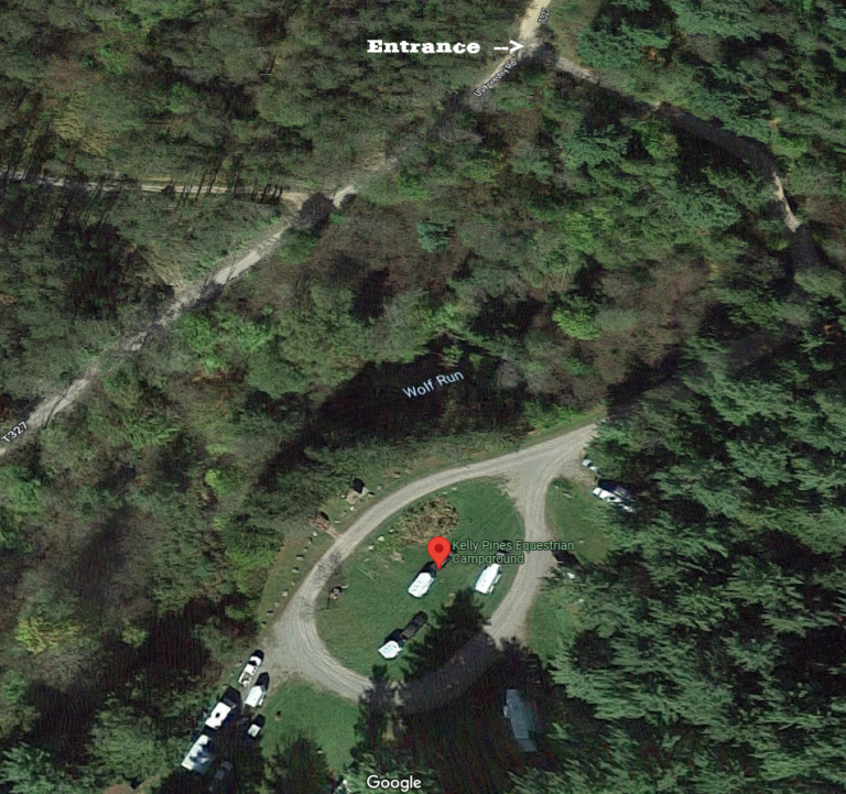 Spring Creek Horse Trail - Allegheny Nat'l Forest