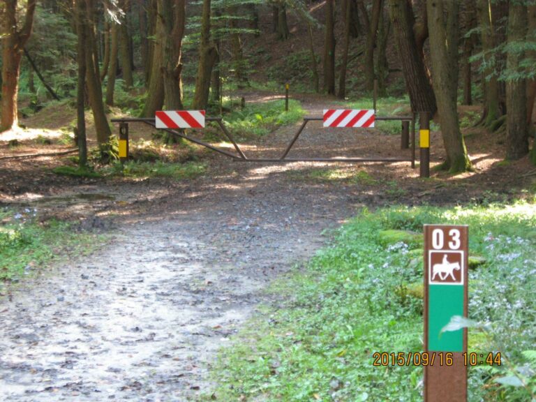Spring Creek Horse Trail - Allegheny Nat'l Forest