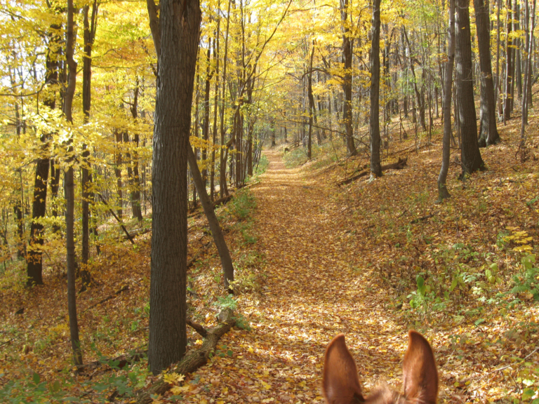 Blue Knob State Park