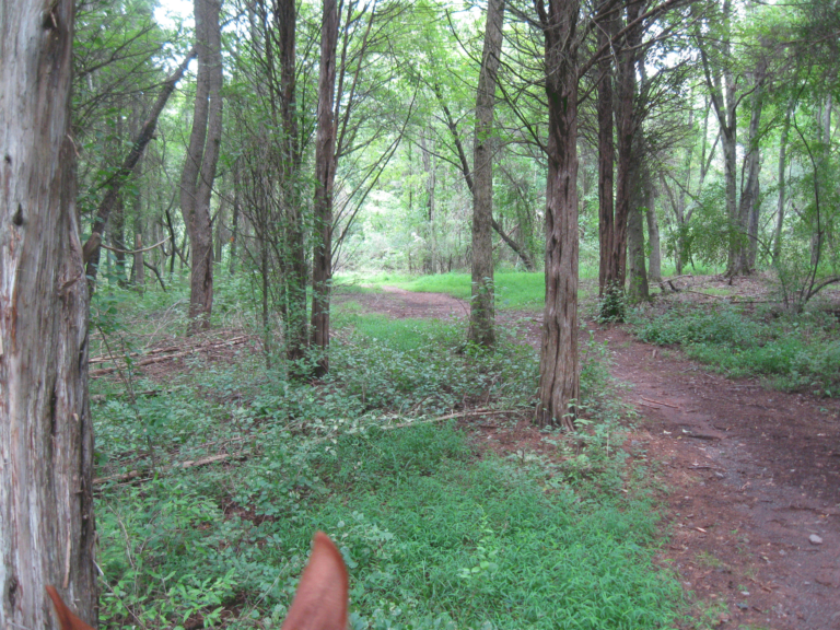 Evansburg State Park Evansburg State Park