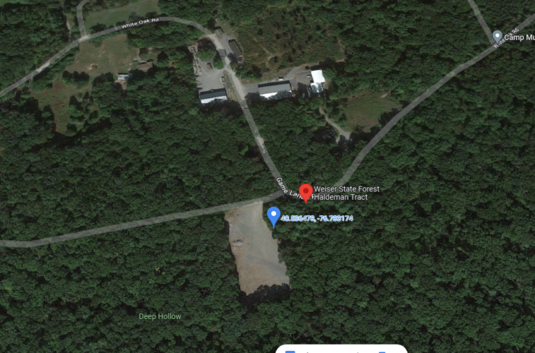 Weiser State Forest - Haldeman Tract