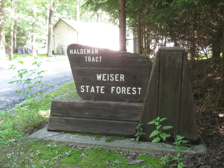 Weiser State Forest - Haldeman Tract