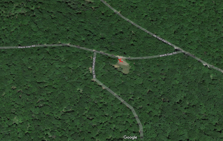 Bald Eagle State Forest