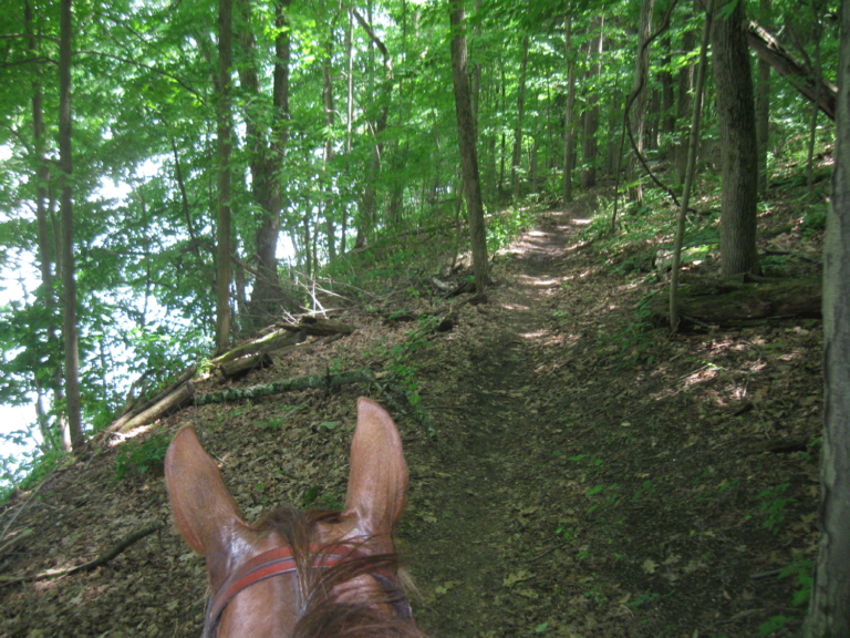Blue Marsh Lake Blue Marsh Lake