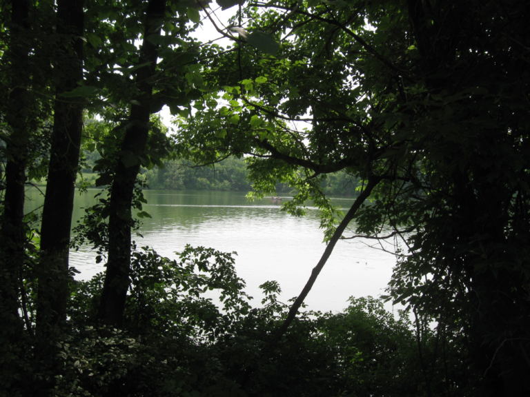Blue Marsh Lake Blue Marsh Lake