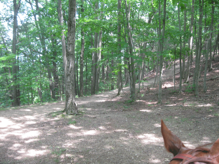 Blue Marsh Lake Blue Marsh Lake