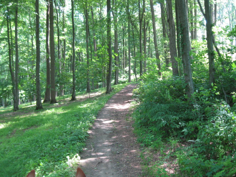 Clarence Schock Memorial Park Clarence Schock Memorial Park