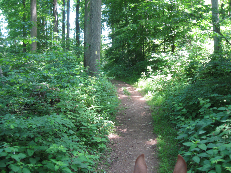 Clarence Schock Memorial Park Clarence Schock Memorial Park