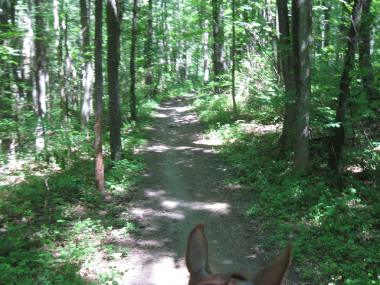 Jacobsburg Environmental Education Center