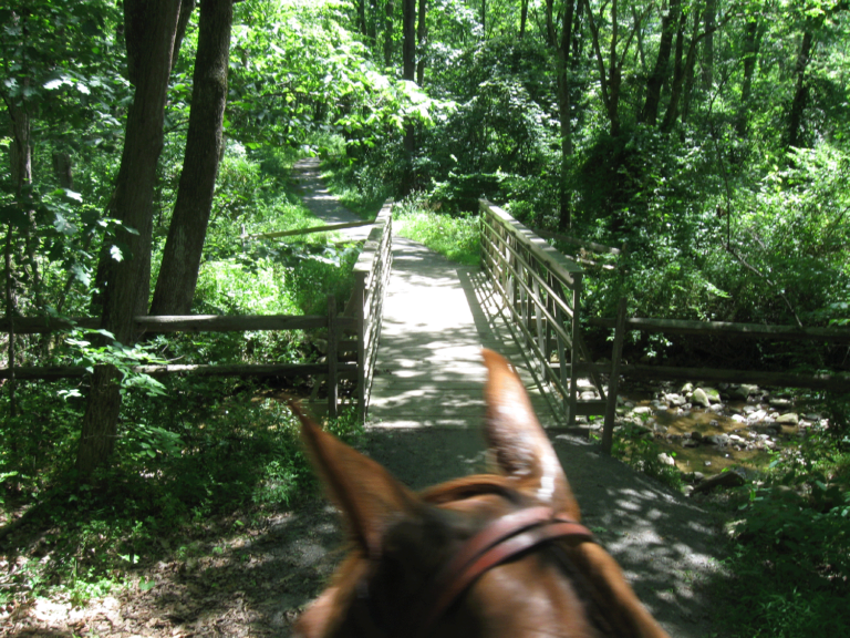 Jacobsburg Environmental Education Center