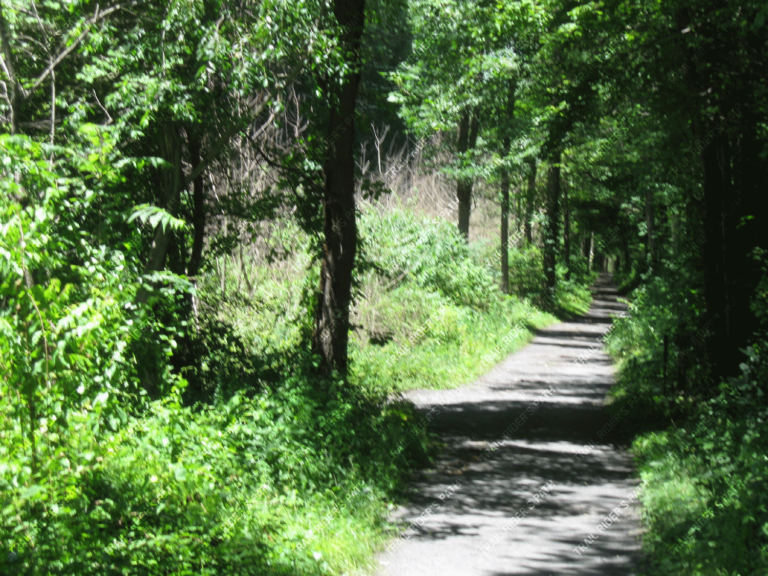 Jacobsburg Environmental Education Center