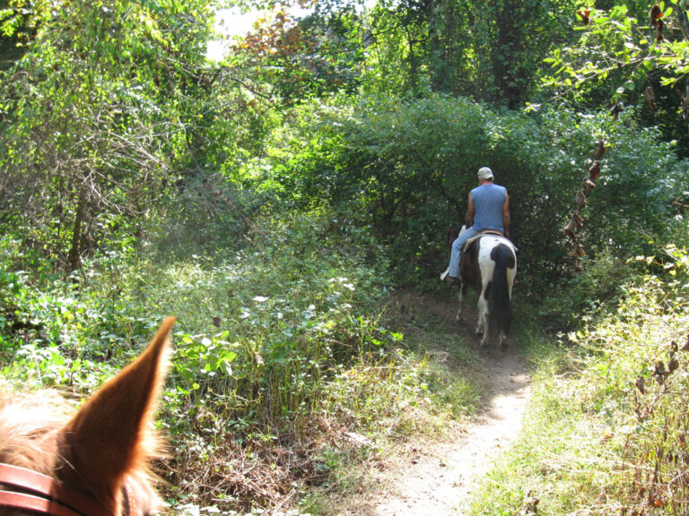Marsh Creek State Park