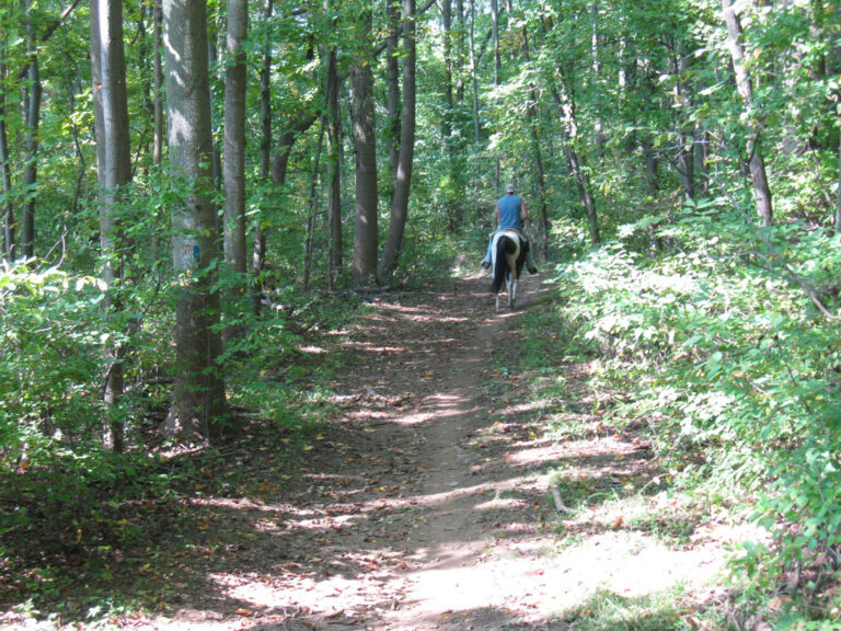 Marsh Creek State Park