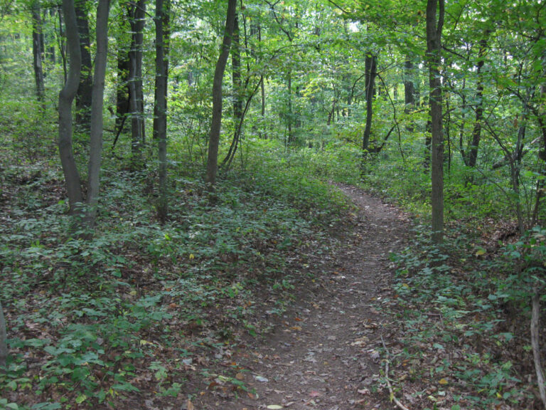 Marsh Creek State Park