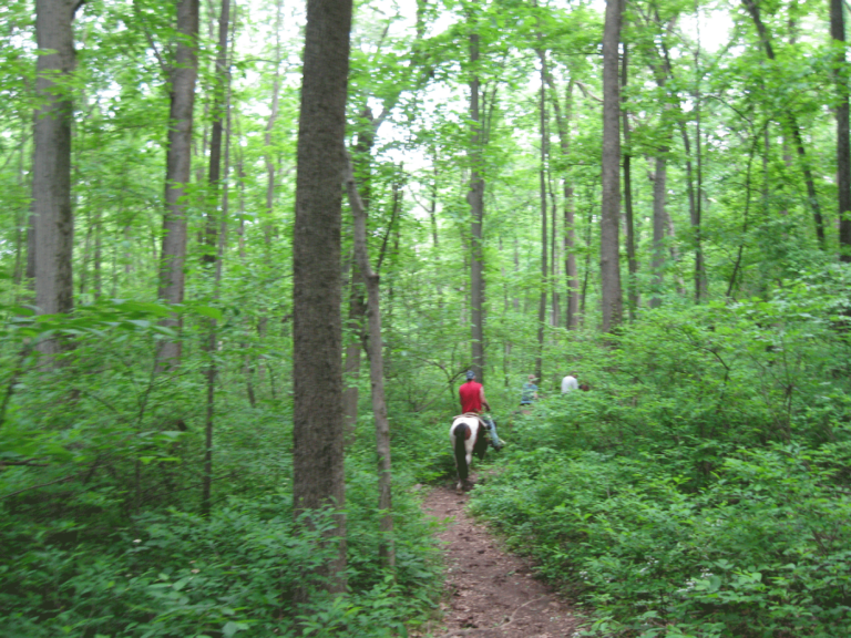 Marsh Creek State Park
