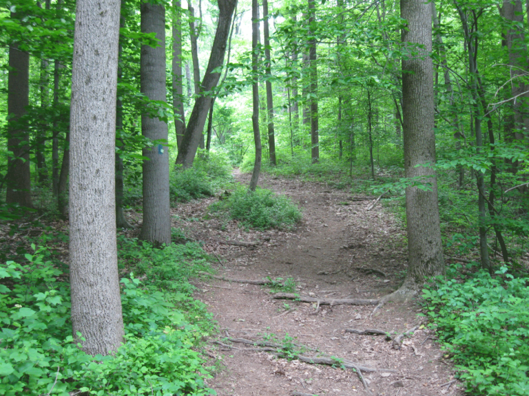 Marsh Creek State Park