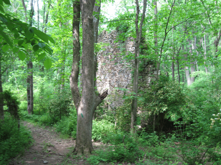 Marsh Creek State Park