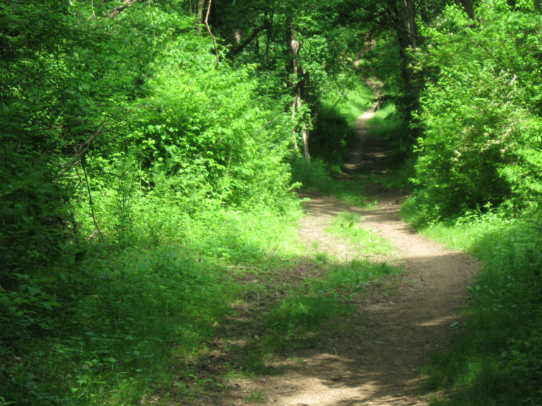 Marsh Creek State Park