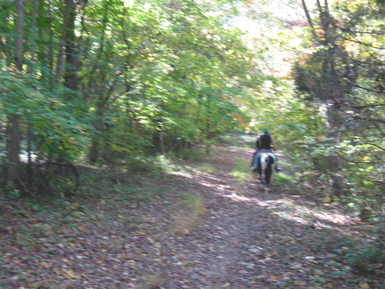 Nockamixon State Park