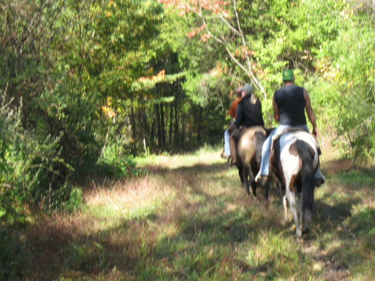 Nockamixon State Park
