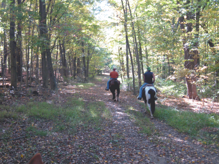 Nockamixon State Park