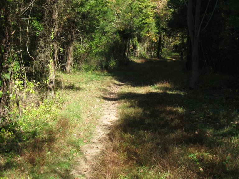 Nockamixon State Park