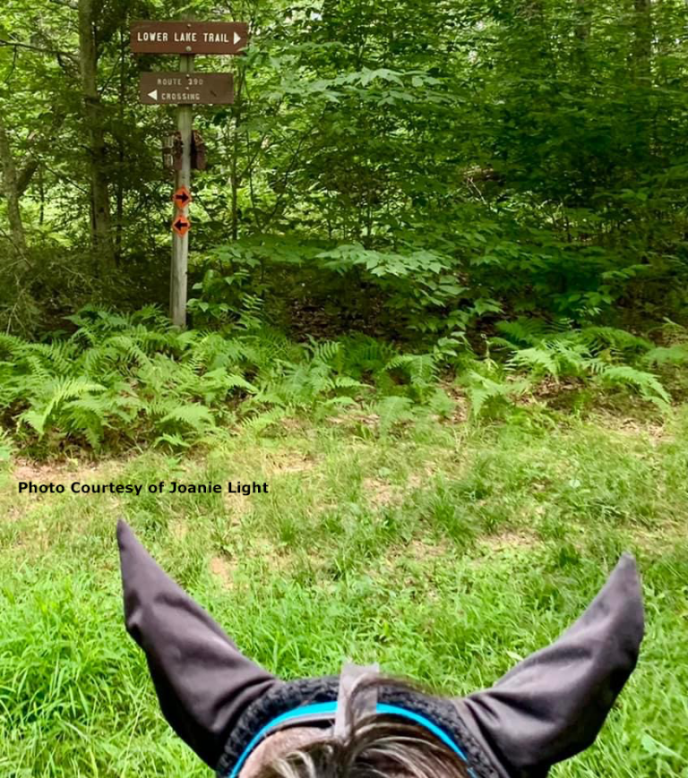 Promised Land Trail System