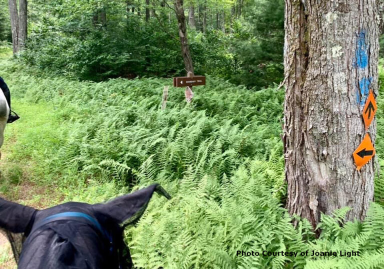 Promised Land Trail System