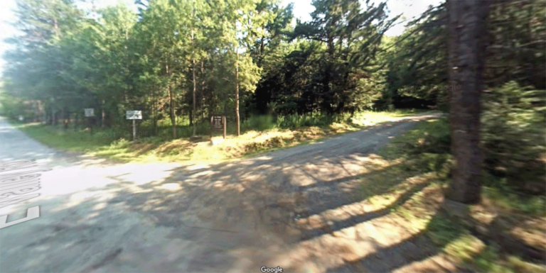 Bald Eagle State Forest