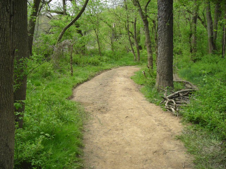 Tyler State Park Tyler State Park