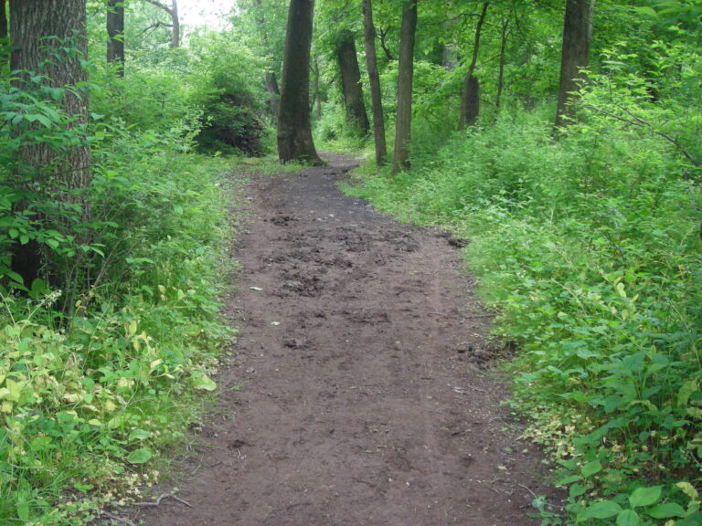 Tyler State Park Tyler State Park