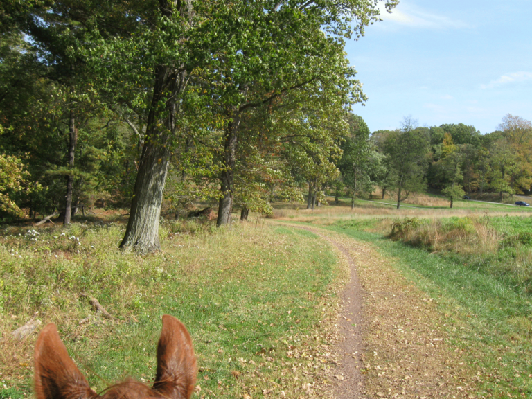 Valley Forge National Historic Park