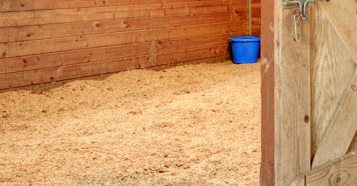 Horse Bedding Quality Horse Bedding for your Horse Trail Rider's Path