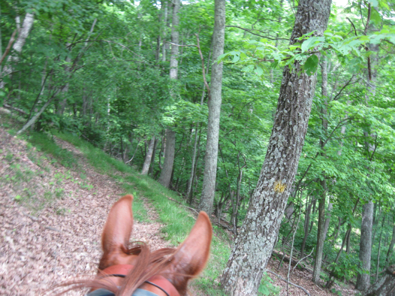 Lost River State Park