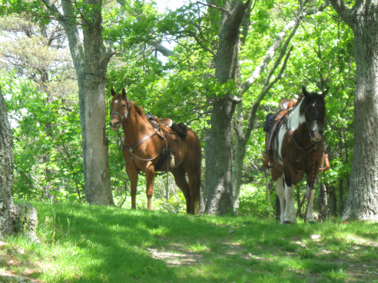 Lost River State Park