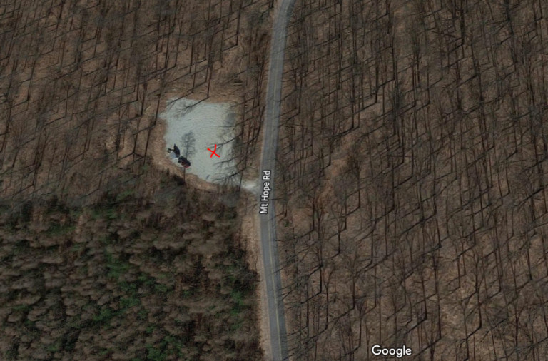 Michaux State Forest