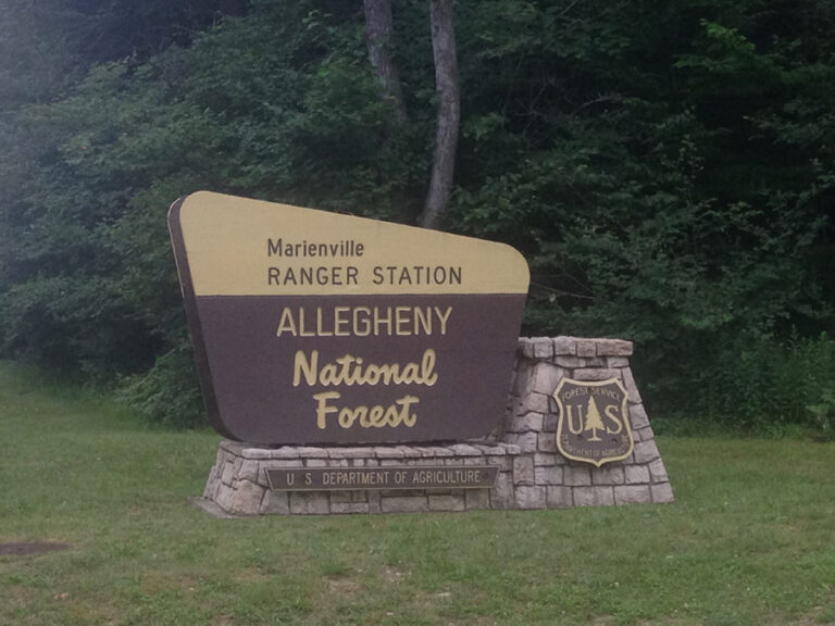 Spring Creek Horse Trail - Allegheny Nat'l Forest