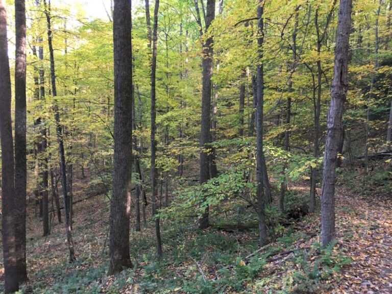 Thunder Mountain Equestrian Trail