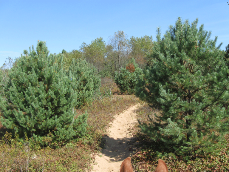 Otter Creek Horse Trails Otter Creek Horse Trails