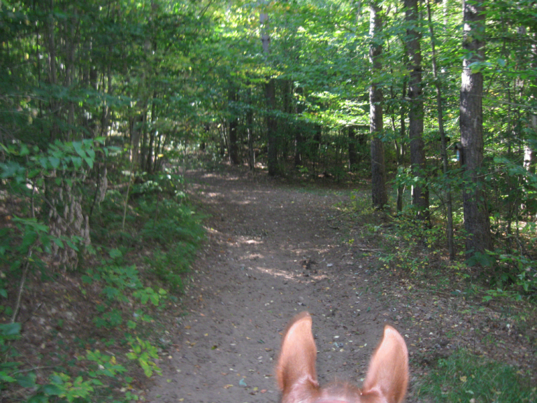 Otter Creek Horse Trails Otter Creek Horse Trails