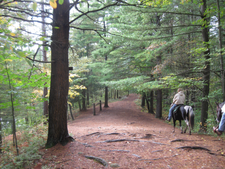 Otter Creek Horse Trails Otter Creek Horse Trails