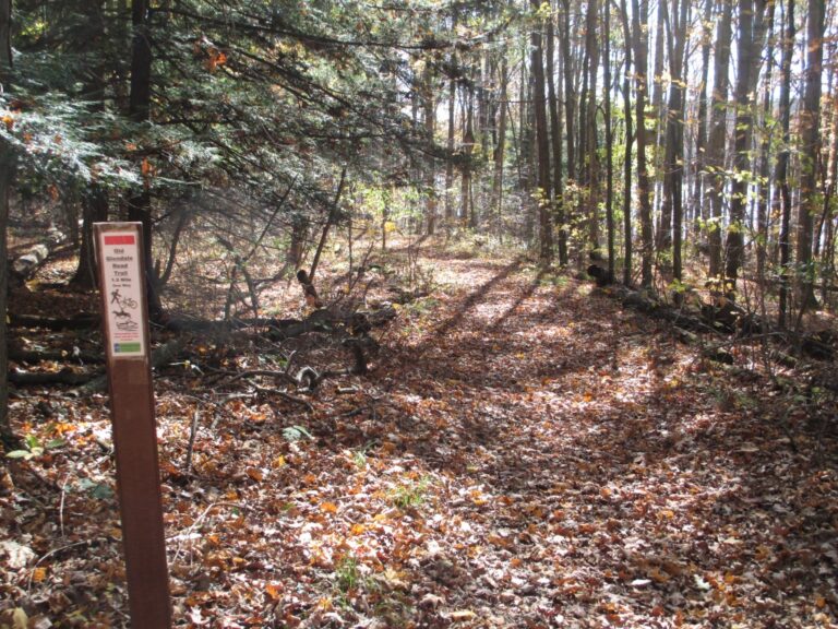 Prince Gallitzin State Park