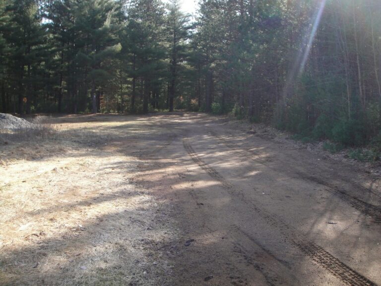 Brasher State Forest - North Parking Area Brasher State Forest - North Parking Area