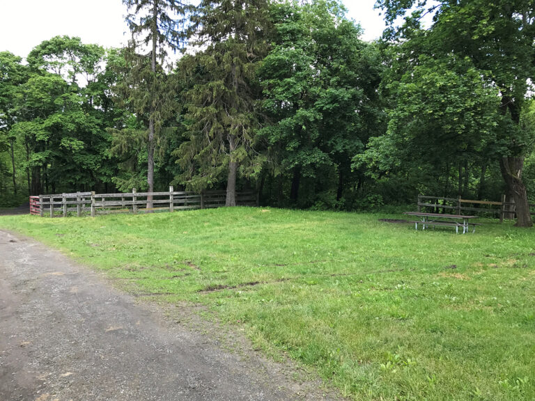 Finger Lakes Nat'l Park - Backbone Horse Camp