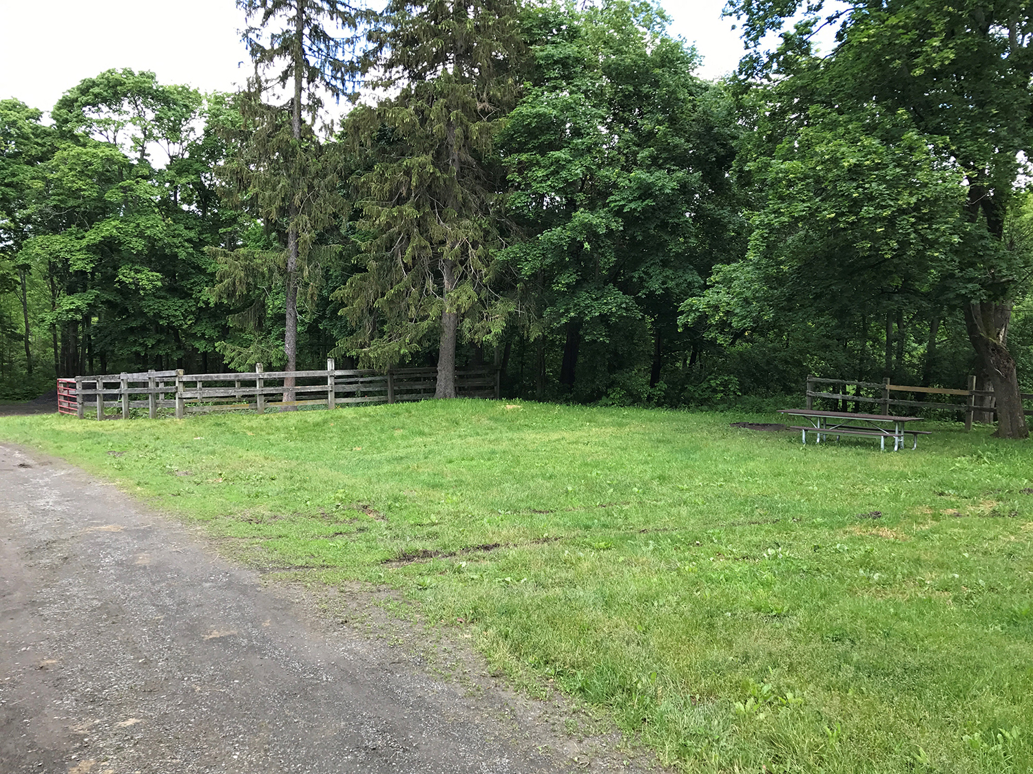 Finger Lakes National Forest Trail Rider's Path