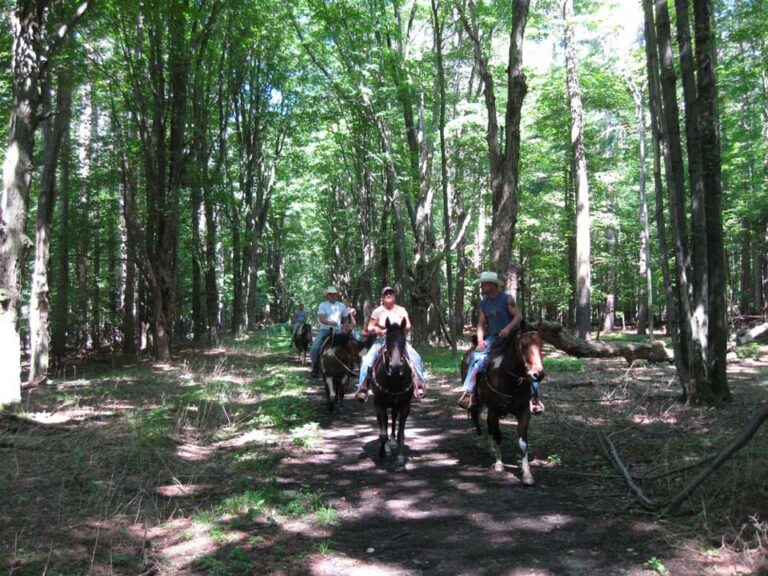 Letchworth State Park